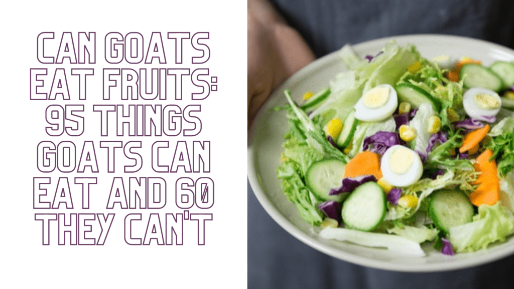 Can Goats Eat Fruits: 95 Things Goats Can Eat And 60 They Can't
