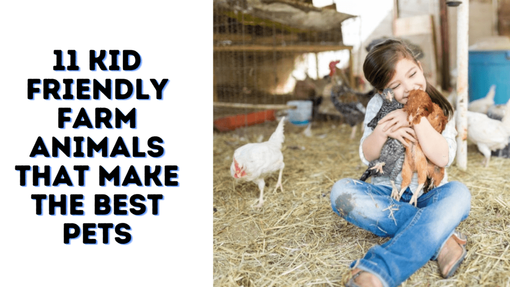 11 Kid Friendly Farm Animals That Make the Best Pets