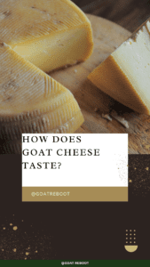How does goat cheese taste 