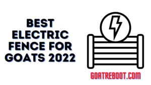 Best Electric Fence For Goats 2022