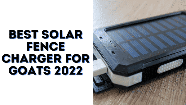 Best Solar Fence Charger For Goats 2022