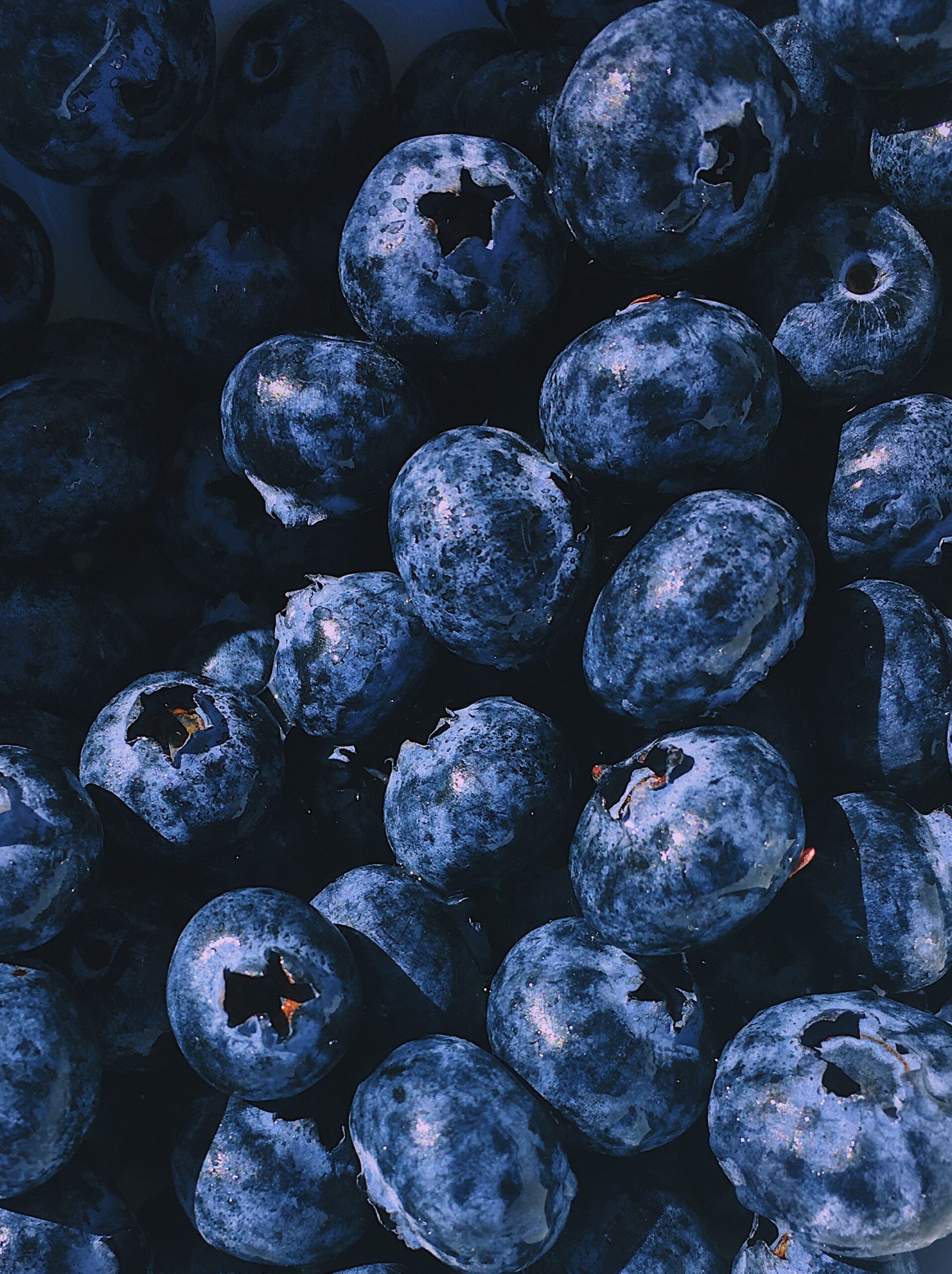 eat blueberries