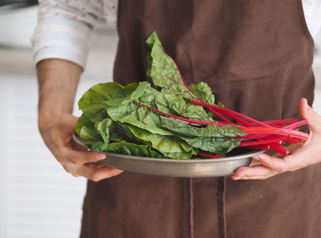 swiss chard feed