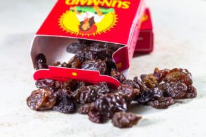 eat raisins feed